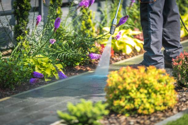 Best Fence Cleaning  in Bardmoor, FL