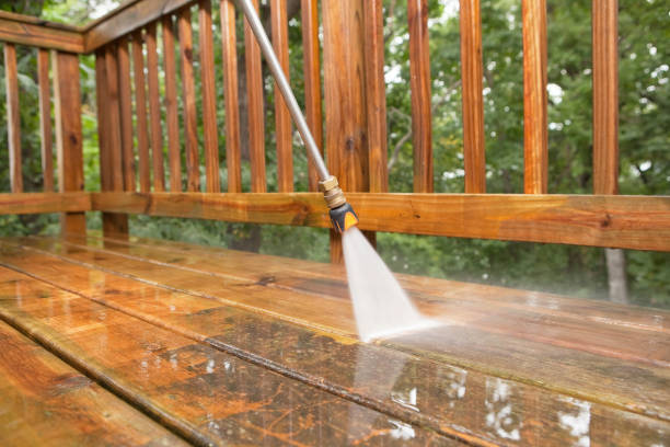 Best Rust Removal  in Bardmoor, FL